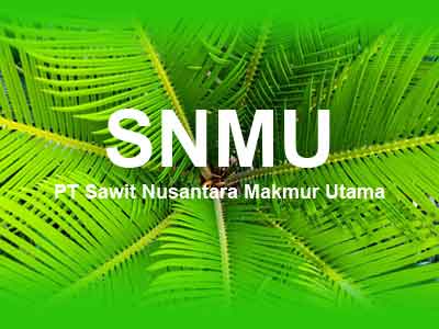 snmu-cpslaboratorium